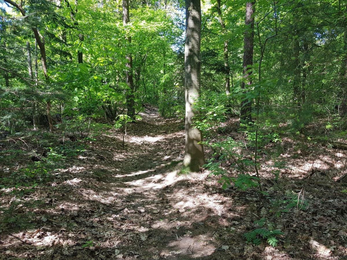 Knusse 5 Persoons Bungalow Hartje Veluwe Otterlo Εξωτερικό φωτογραφία