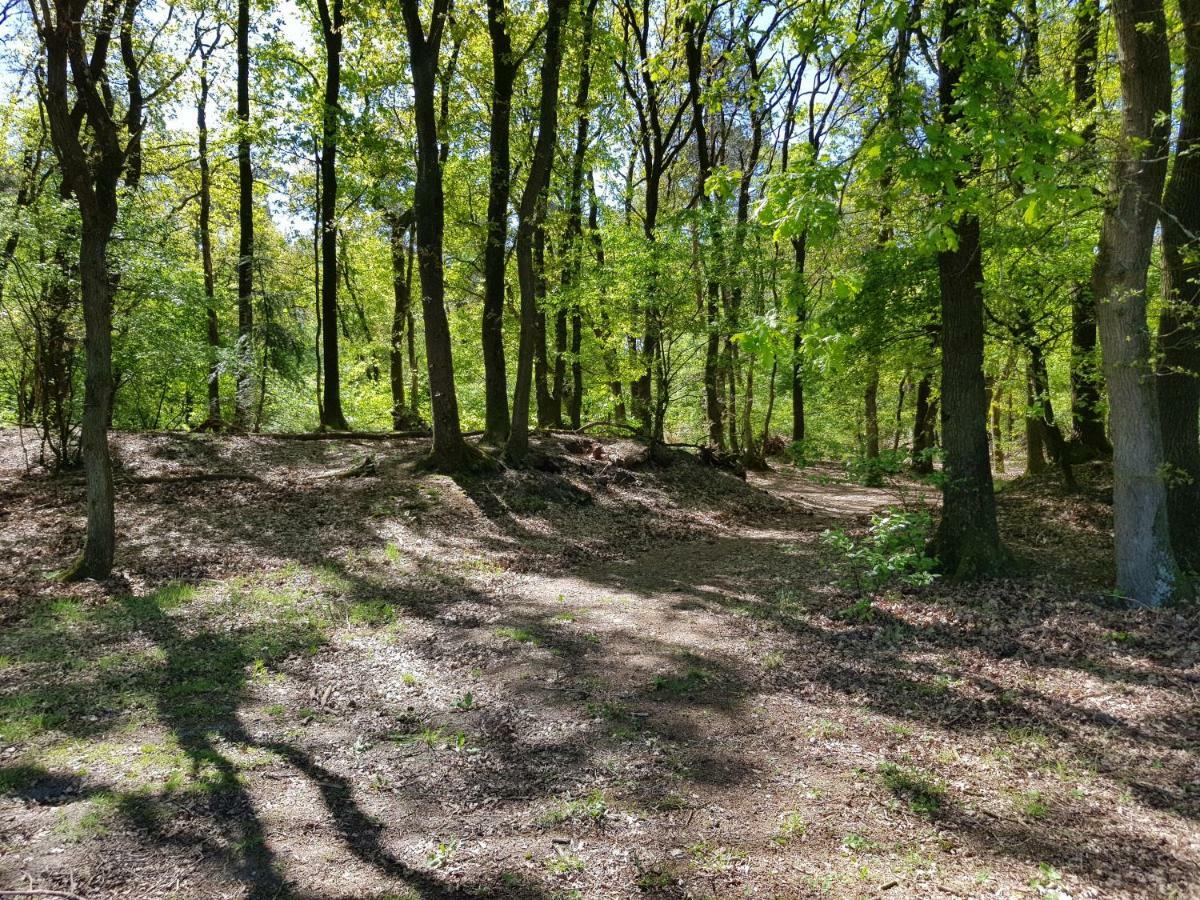 Knusse 5 Persoons Bungalow Hartje Veluwe Otterlo Εξωτερικό φωτογραφία