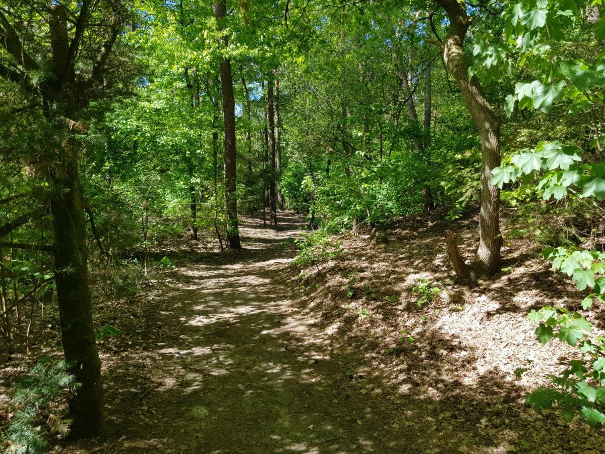 Knusse 5 Persoons Bungalow Hartje Veluwe Otterlo Εξωτερικό φωτογραφία