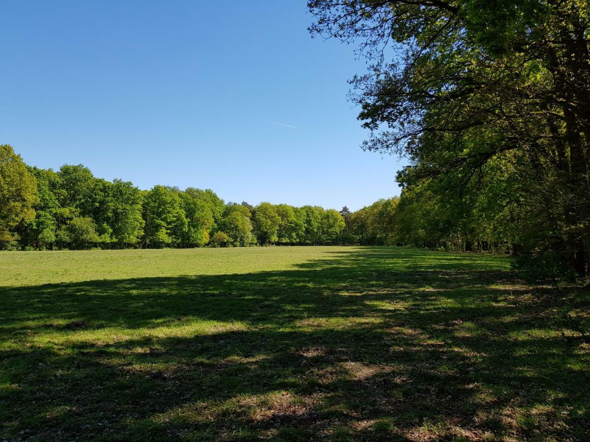 Knusse 5 Persoons Bungalow Hartje Veluwe Otterlo Εξωτερικό φωτογραφία
